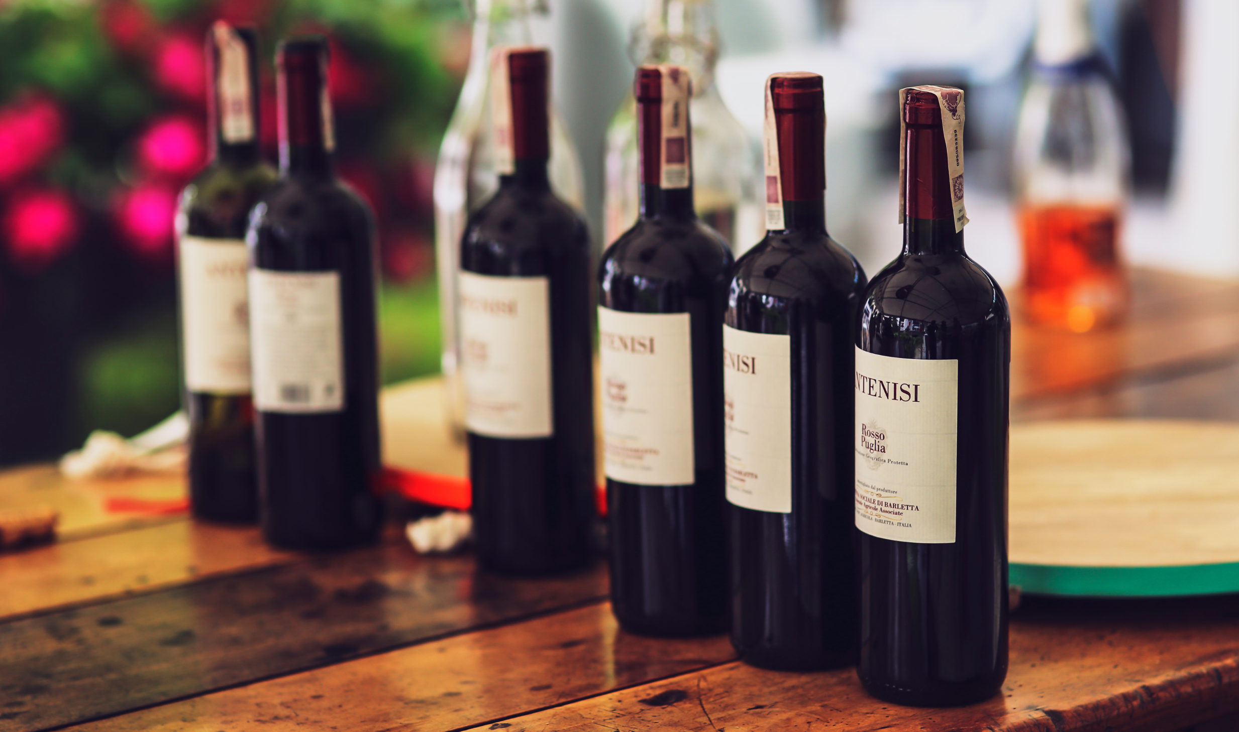 Image Spécialisation Wine Business⁴